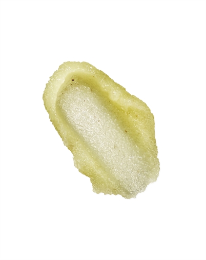 Karmameju - Foxy Salt Body Scrub - 300 ml. 